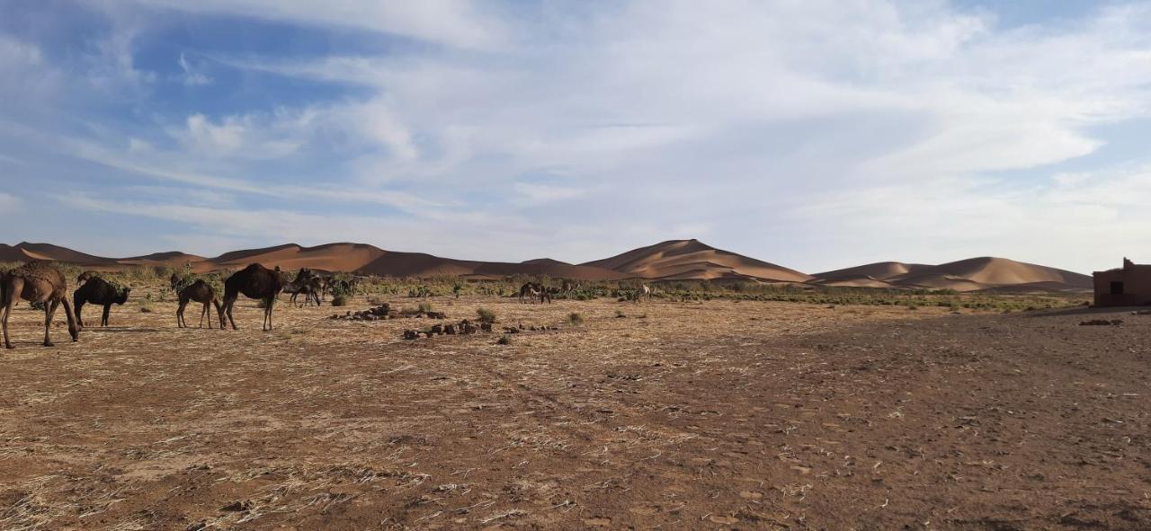 Erg Chegaga Camp Excursions Hotel M'Hamid Exterior foto