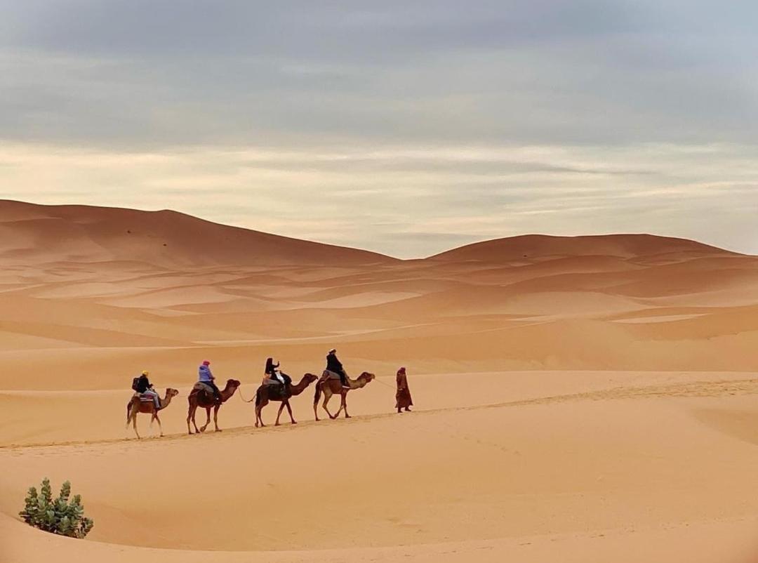 Erg Chegaga Camp Excursions Hotel M'Hamid Exterior foto